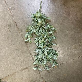Swan Fern Hanging Bush 30"