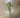 Supreme String Pearl Succulent Hanging Bush Dusty Green - Artificial Flora Silk