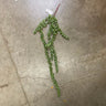 Supreme String Pearl Succulent Hanging Bush Dusty Green - Artificial Flora Silk