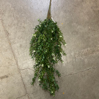 Green Boxwood Hanging Bush 24"