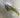 Supreme Wild Fern Hanging Bush - Uncategorized Silk