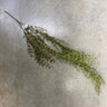 Supreme Wild Fern Hanging Bush - Uncategorized Silk