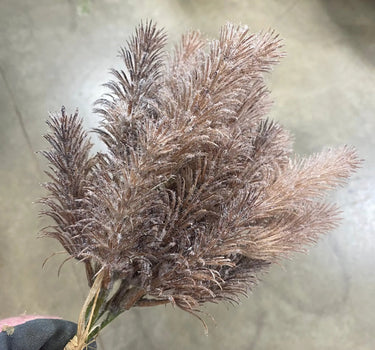 Supreme Pampas Bundle Brown 16" - Artificial Non-Flowering Plants Silk