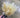 Supreme Pampas Bundle Cream 16" - Uncategorized Silk