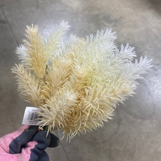 Pampas Bundle Cream 16"