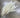 Le Fleur Pampas Bush Cream 15" - Uncategorized Silk