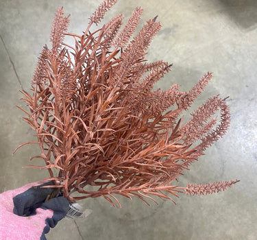 Allstate Astilbe Bundle X3 Mauve 9" - Uncategorized Silk