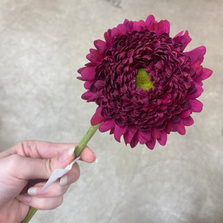 Chrysanthemum Stem Burgundy 18.5"