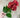AmBest Fresh Touch Hydrangea Spray Red 25.5" - Uncategorized Silk