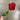 AmBest Real Touch Rose Bud Stem Crimson 23" - Silk