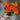 Fortune Carnation Bush Orange 18” - Silk
