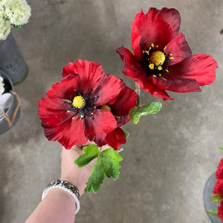 Poppy Spray Red/Burgundy 27.5"