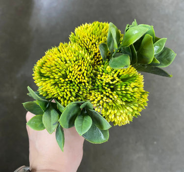 AmBest Viburnam Balls Bundle Yellow 11" - Uncategorized Silk