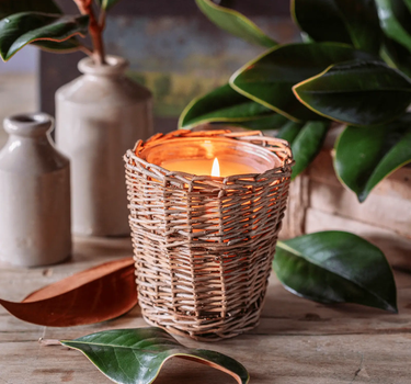 Porch View Grand Magnolia Candle - Candles Candles/Fragrance