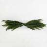 Le Fleur Soft Touch Cedar Swag 31" - Garlands Silk
