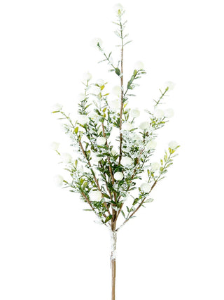 Snowy Boxwood Berry Spray 21"