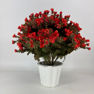 Red/Orange Mum - Potted w/ 2 Bushes