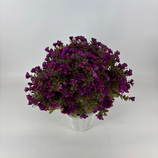Purple Mum - Potted w/ 2 Bushes