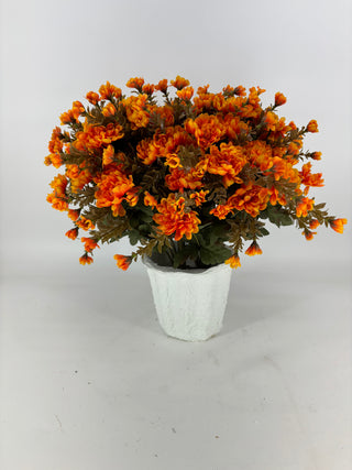 Yellow/Orange Mum - Potted w/ 2 Bushes