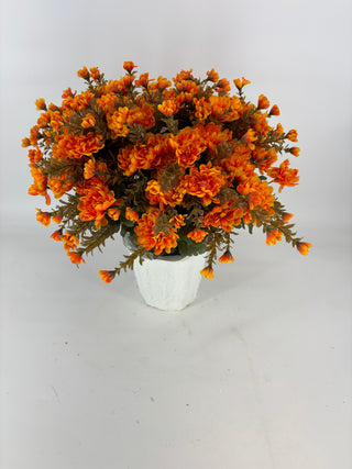 Yellow/Orange Mum - Potted w/ 2 Bushes