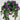 Direct UV Purple Petunia Hanging Basket - Uncategorized Hanging Basket & Porch Pots
