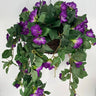 Direct UV Purple Petunia Hanging Basket - Uncategorized Hanging Basket & Porch Pots
