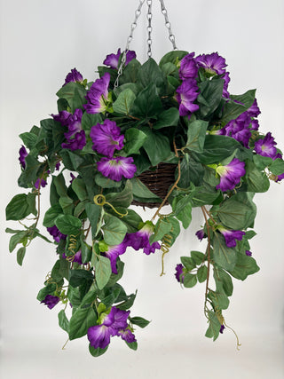 Purple Petunia UV Hanging Basket