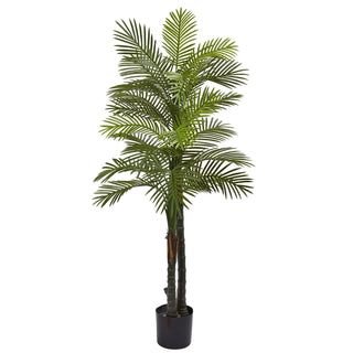 5.5' Double Robellini Palm Tree UV