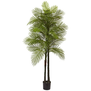 7' Double Robellini Palm Tree UV