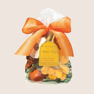 Valencia Orange Bag Potpourri