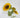 Supreme Sunflower Spray Yellow 36" - Uncategorized Silk