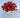 Red Mum - Potted w/ 2 Bushes