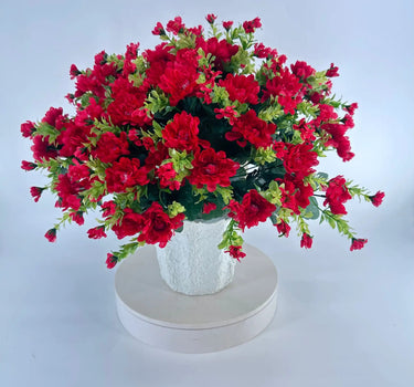 Red Mum - Potted w/ 2 Bushes