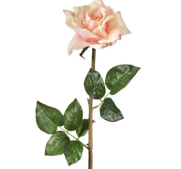 Just Cut Open Garden Rose Stem Blush 25"