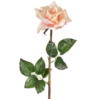 Just Cut Open Garden Rose Stem Blush 25"