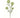 Wild Dill Spray Green 33"