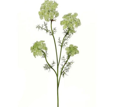 Wild Dill Spray Green 33"