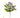 UV Pansy Plant Bush White-Purple 10.5"