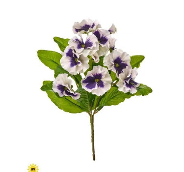 UV Pansy Plant Bush White-Purple 10.5"