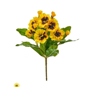 UV Pansy Plant Bush Yellow 10.5"