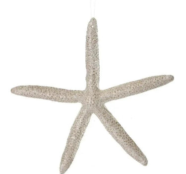 Regency Frosted Leggy Starfish Ornament 6" - Holiday Ornaments Merchandise