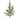 Regency Natural Touch Norfolk Pine Spray 38" - Artificial Non-Flowering Plants Silk