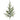 Regency Natural Touch Norfolk Pine Spray 38" - Artificial Non-Flowering Plants Silk