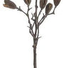 Select Split Pod Spray Brown 36" - Uncategorized Silk
