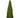 Regency Mossed Cone Tree 24" - Silk