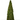 Regency Mossed Cone Tree 24" - Silk