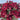 GSC Mum Bush Burgundy 15.5" - Artificial Flora Hanging Basket & Porch Pots