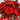 GSC Mum Bush Red/Orange 15.5" - Artificial Flowering Plants Hanging Basket & Porch Pots
