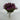 GSC Mum Bush Purple 15.5" - Artificial Flora Hanging Basket & Porch Pots
