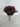 GSC Mum Bush Purple 15.5" - Artificial Flora Hanging Basket & Porch Pots